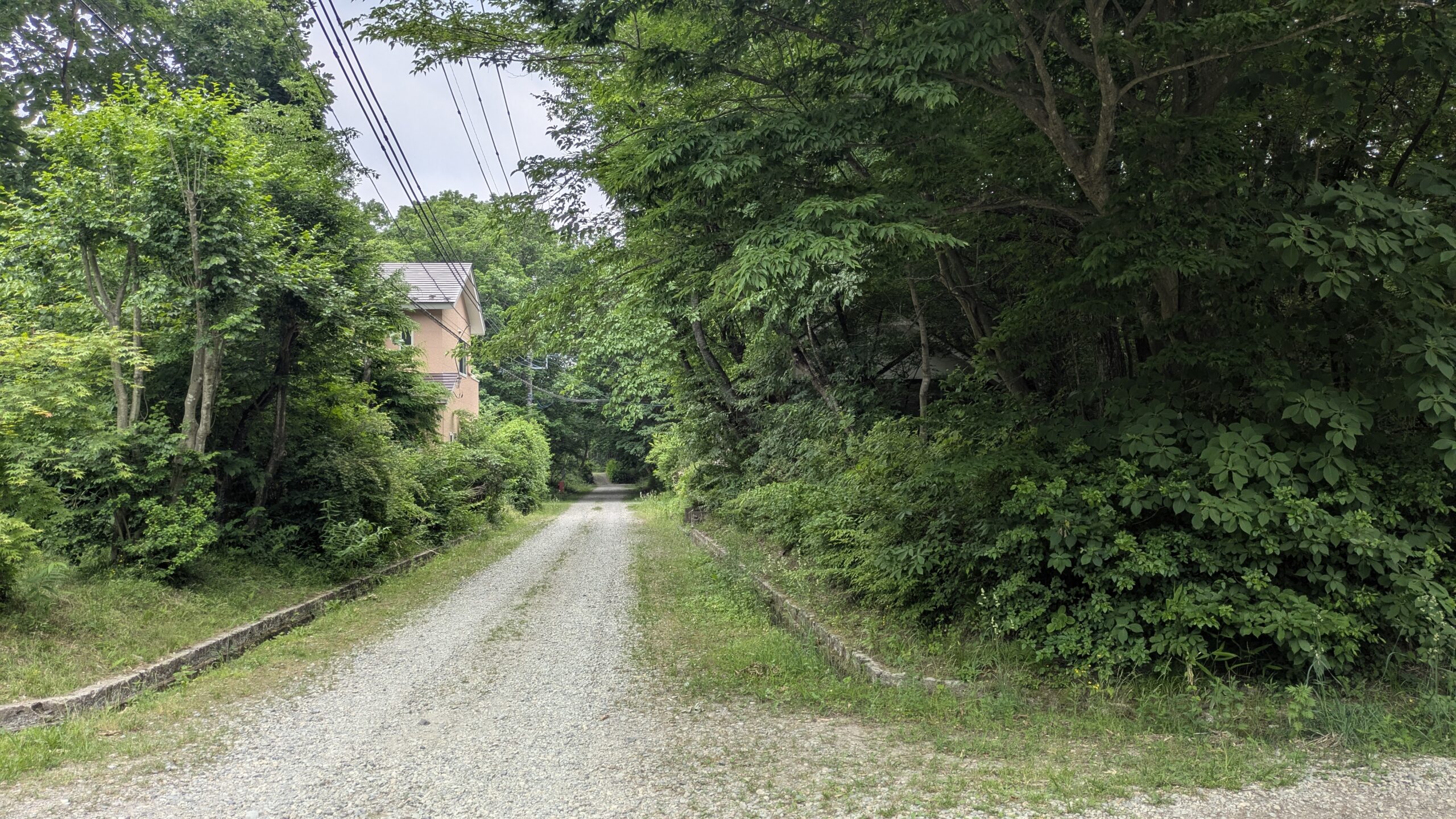 №C-a907【栃木県那須町】別荘のない別荘エリア内の土地あげます！譲ります！０円物件！
