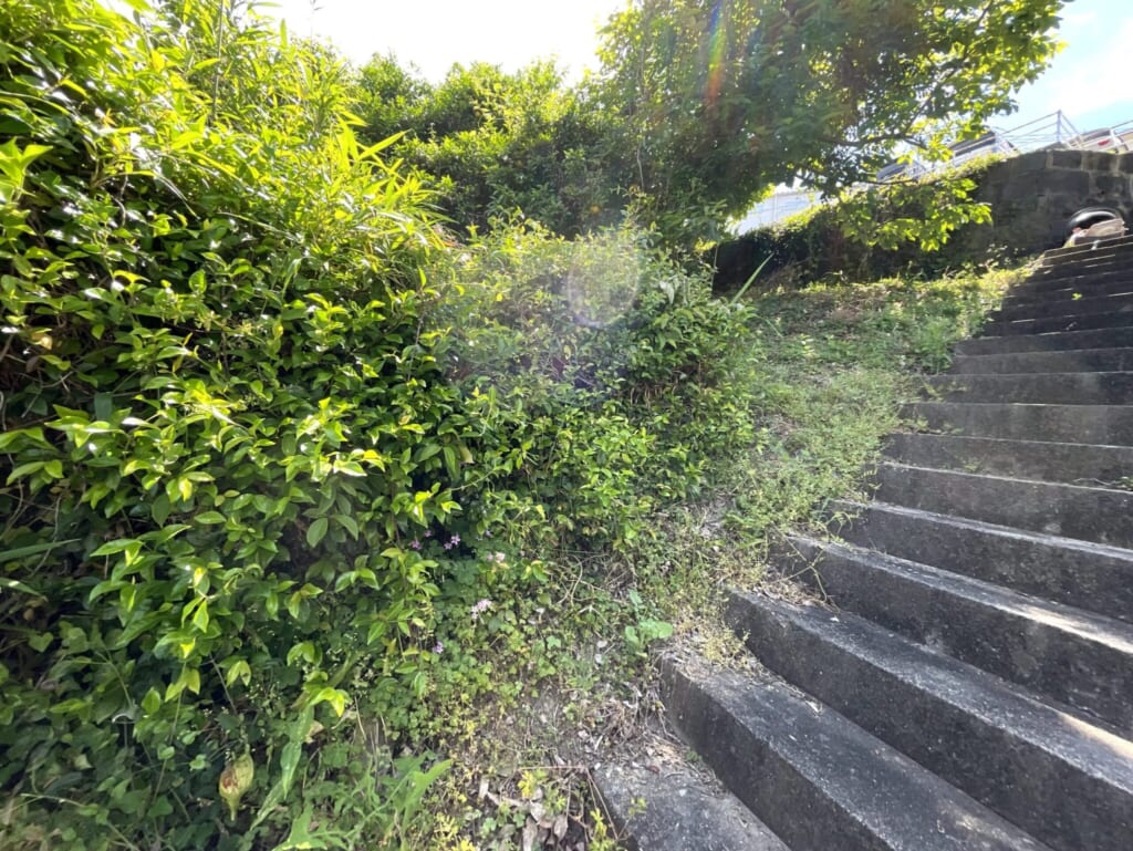 №J0077【長崎県佐世保市日宇町】土地（先祖から相続した山林・原野）あげます！譲ります！0円物件！無料！