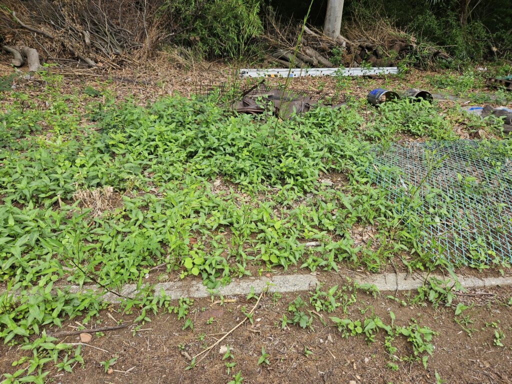 （お譲り先決定）【埼玉県所沢市神米金】山林（分譲地）あげます！周囲には家庭菜園に利用している方々がほとんどです。