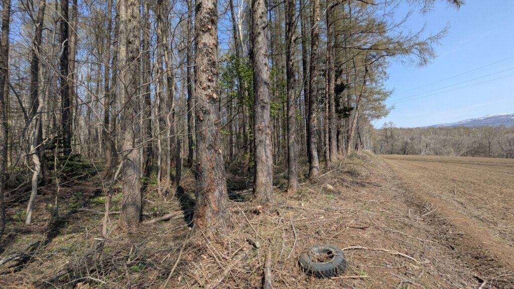 （お譲り先決定）【北海道京極町】山林1筆あげます！