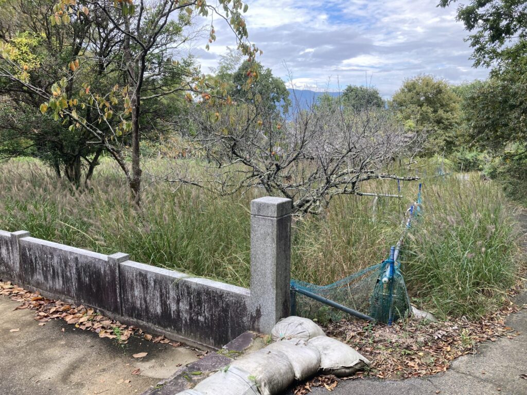 （お譲り先決定）【広島県東広島市志和町別府】土地（農地・田畑）あげます！譲ります！