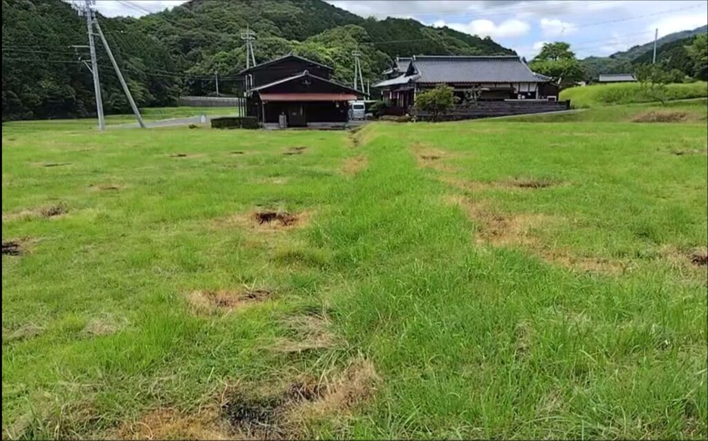（お譲り先決定）【山口県下関市菊川町】元田んぼの農地４筆まとめてあげます！一部、梅の木が4本残っています。