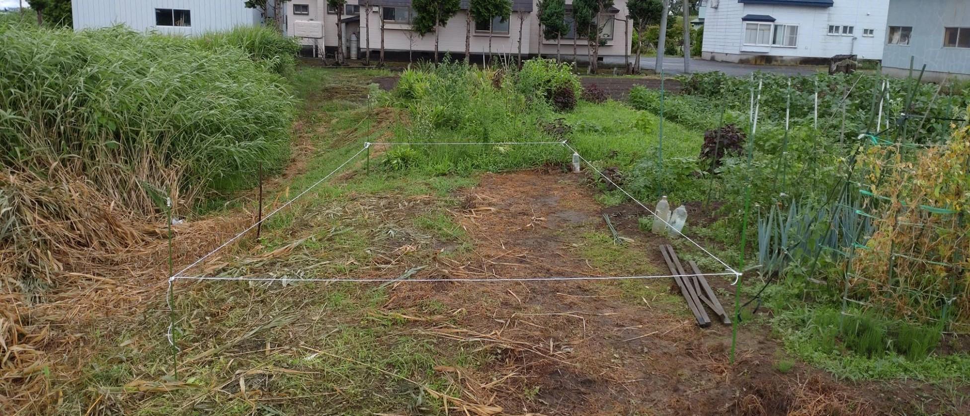 （お譲り先決定）【青森県北津軽郡中泊町】農地（田畑）1筆あげます！33㎡と耕しやすいサイズの第2種農地です。