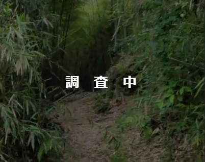 【大分県宇佐市今仁】山林9筆あげます！