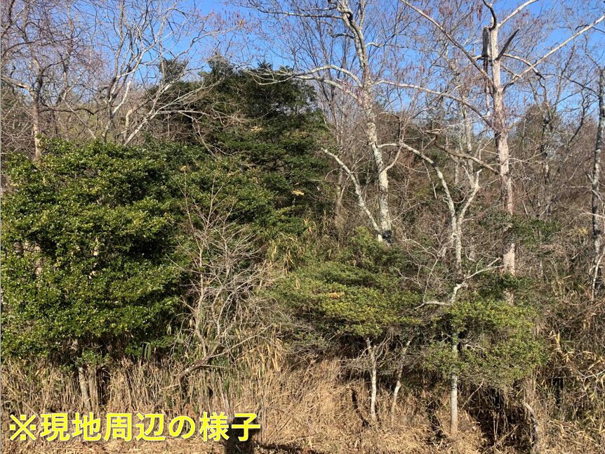 （お譲り先決定）【三重県伊賀市下神戸＋上林】山林あげます！場所は調査中です。