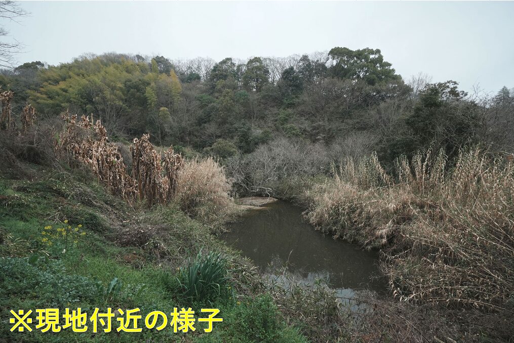 （お譲り先決定）【愛媛県松山市下伊台町】山林7筆あげます！