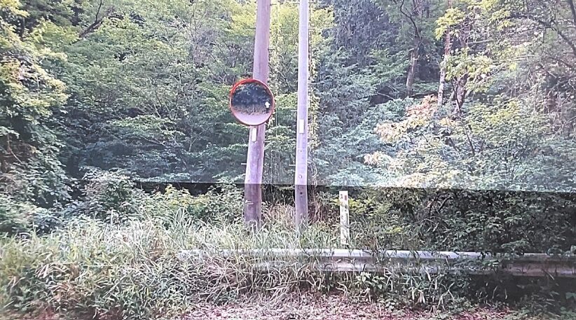（お譲り先決定）【三重県四日市市水沢町】3か所に分かれた山林4筆あげます！