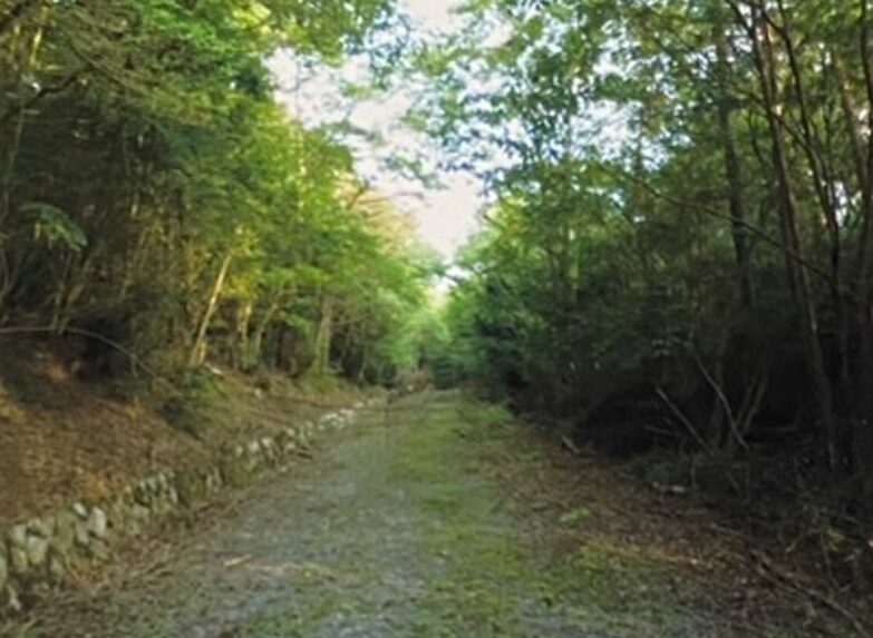 （お譲り先決定）【京都府南丹市園部町】山林　3筆あげます！