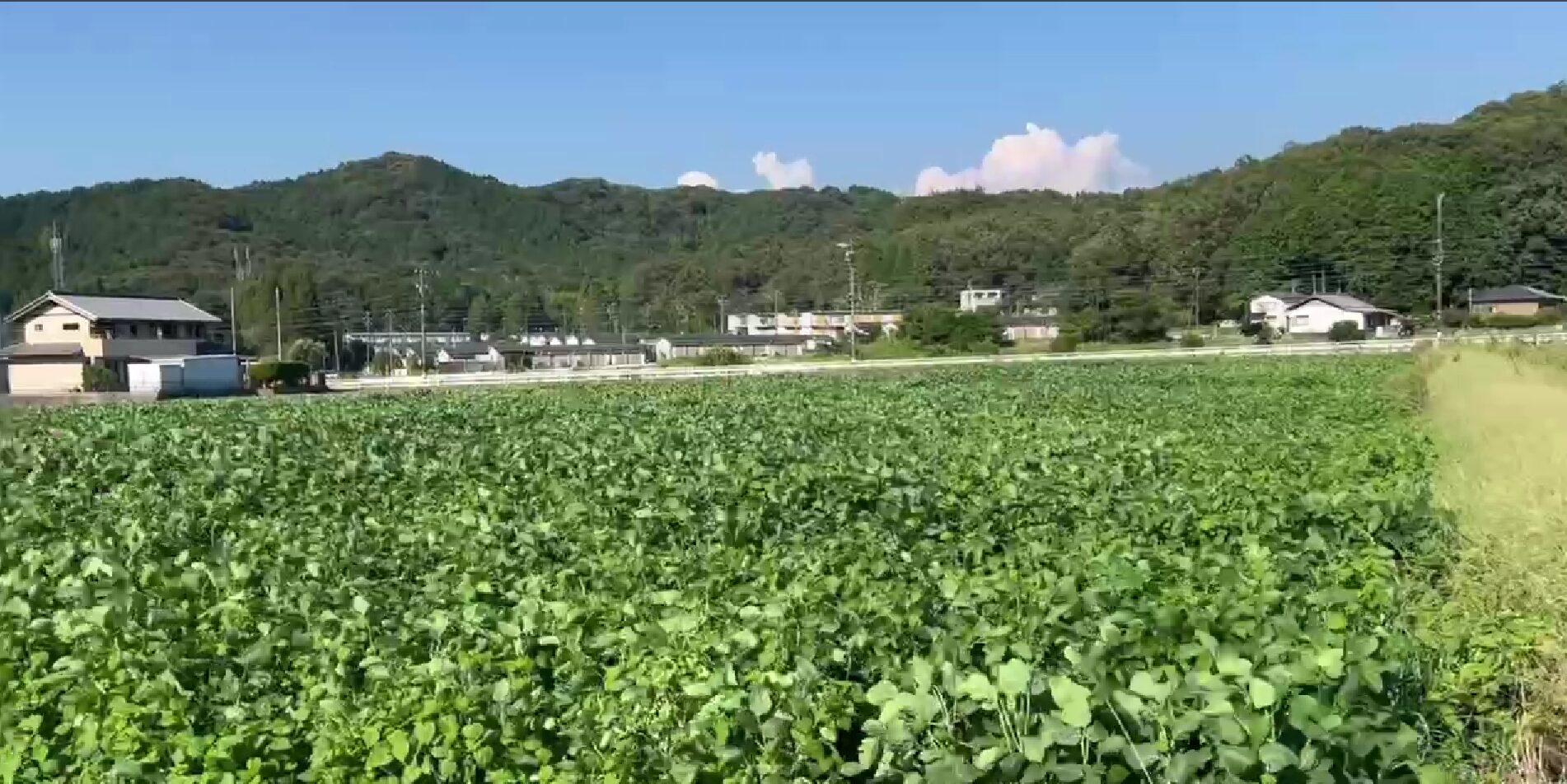 【愛知県岡崎市桑谷町】農地(田)9筆あげます！