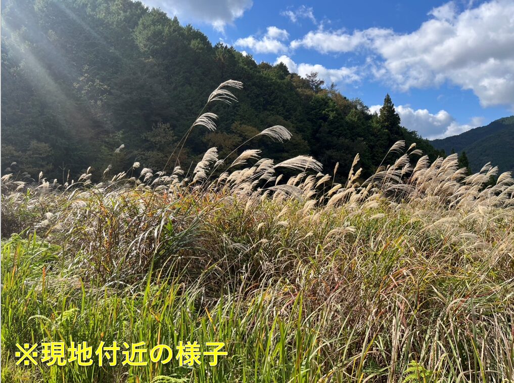 【京都府福知山市夜久野町】山林9筆あげます！