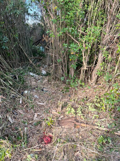 【千葉県匝瑳市平木】土地（分譲地/雑種地）２筆あげます！