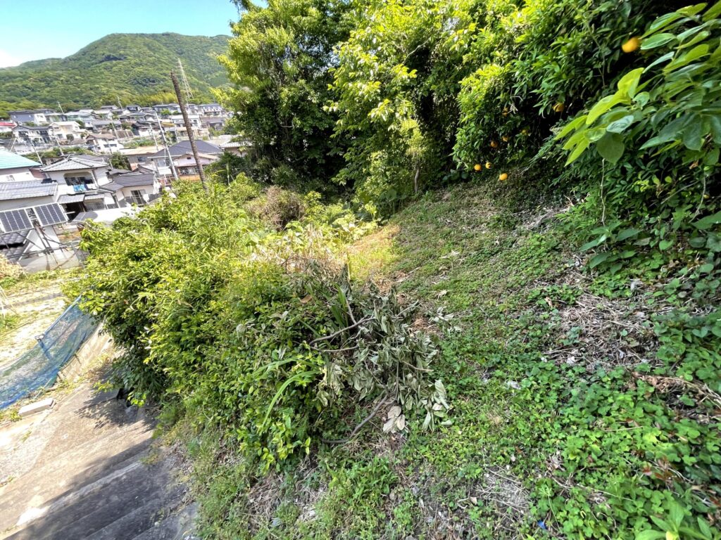 №J0077【長崎県佐世保市日宇町】土地（先祖から相続した山林・原野）あげます！譲ります！0円物件！無料！