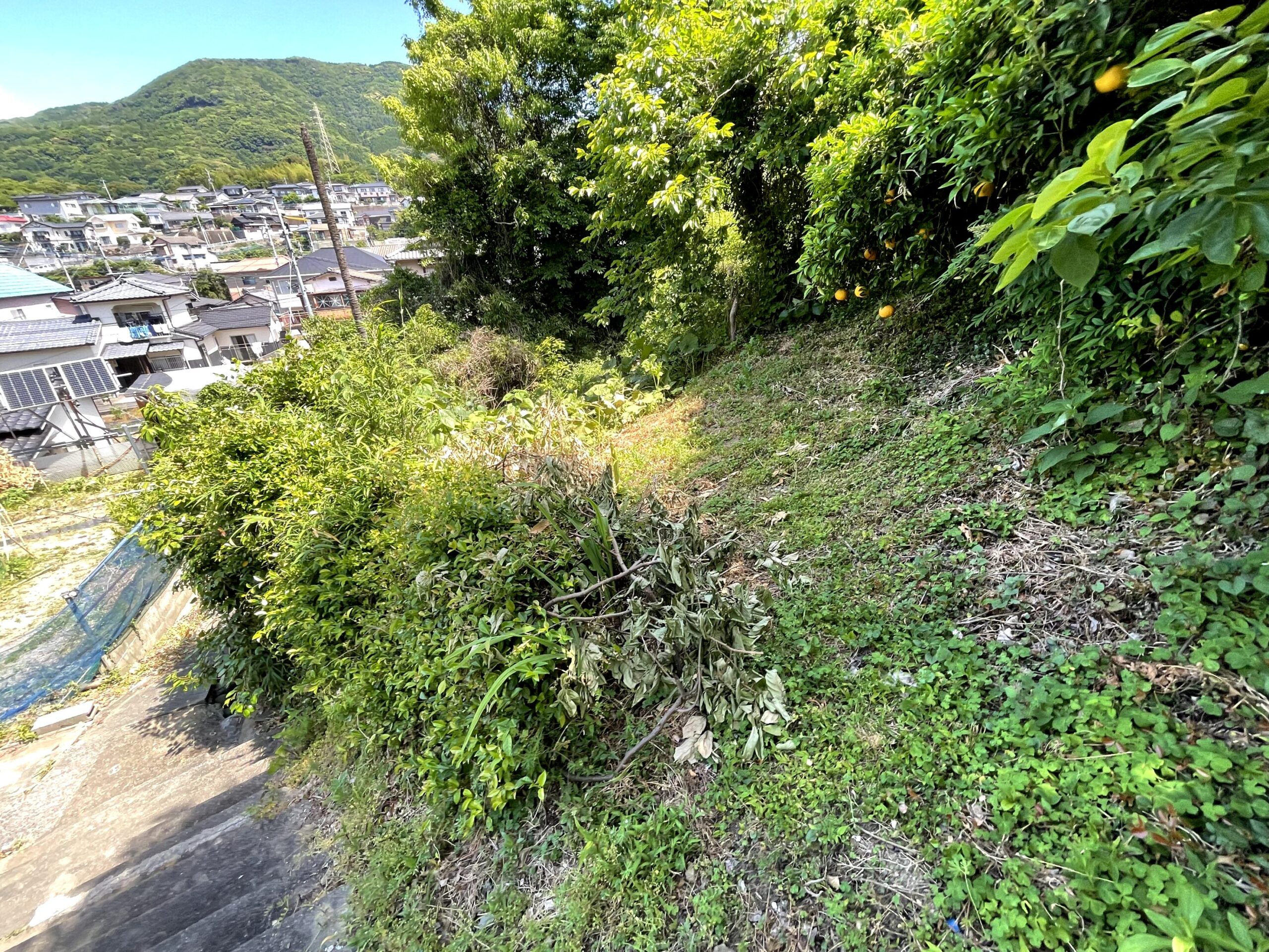 【長崎県佐世保市日宇町】土地（先祖から相続した山林・原野）あげます！譲ります！