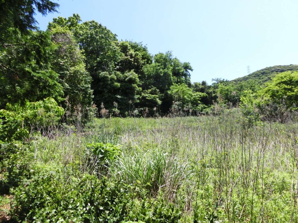№J0231【長崎県西海市大瀬戸町松島内郷】土地（農地・田畑）あげます！譲ります！0円物件！無料！