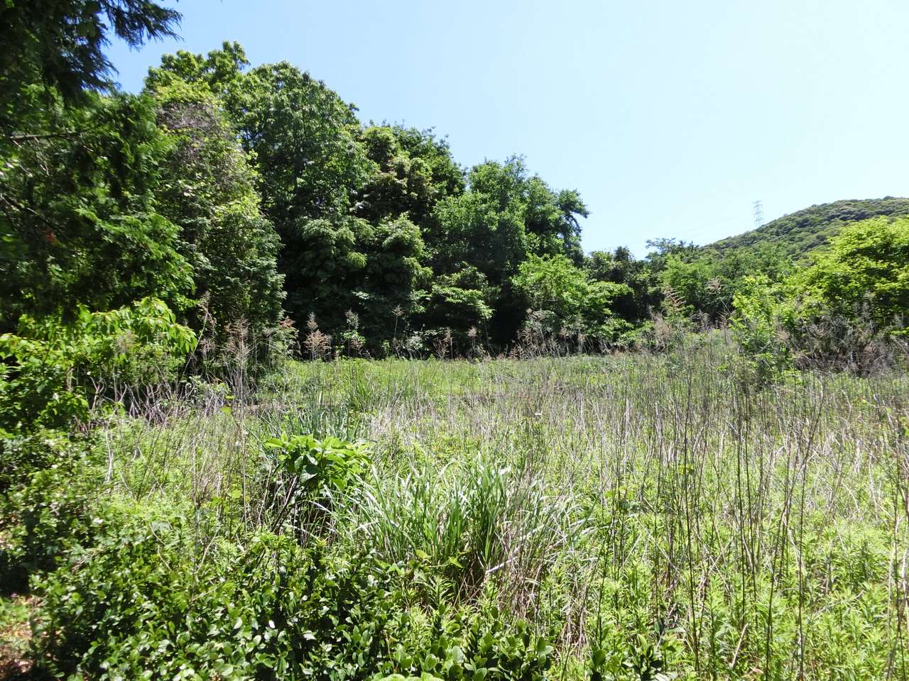 【長崎県西海市大瀬戸町松島内郷】土地（農地・田畑）あげます！譲ります！