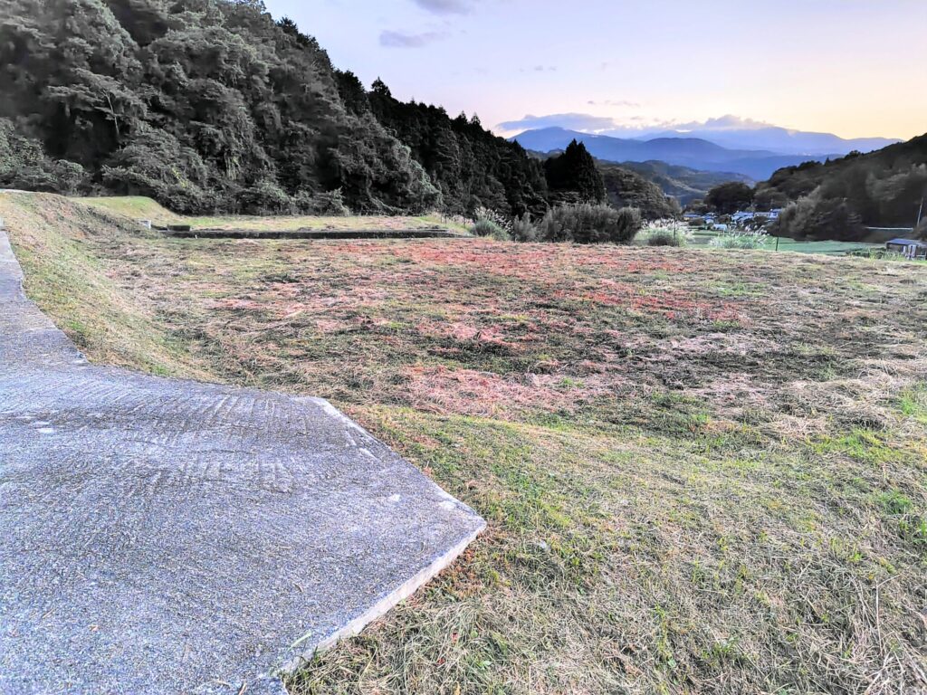 （お譲り先決定）【静岡県伊豆市】土地（農地・田）あげます！譲ります！