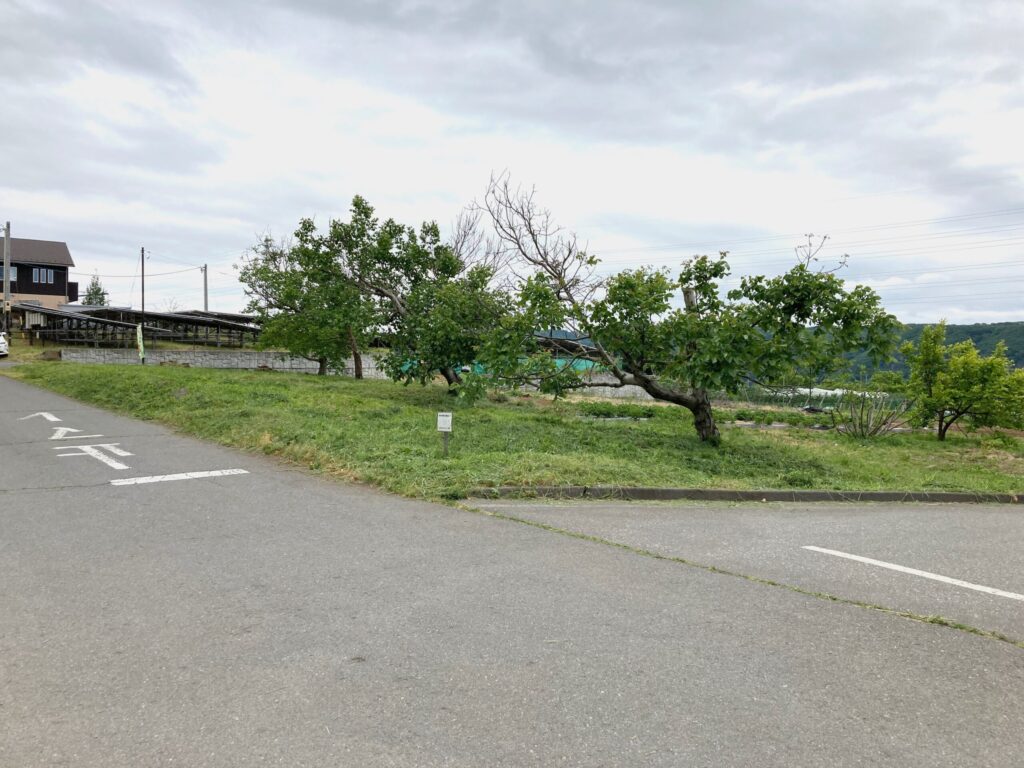 （商談中）№D0187【長野県東御市滋野】土地（農地・田畑）あげます！譲ります！0円物件！無料！