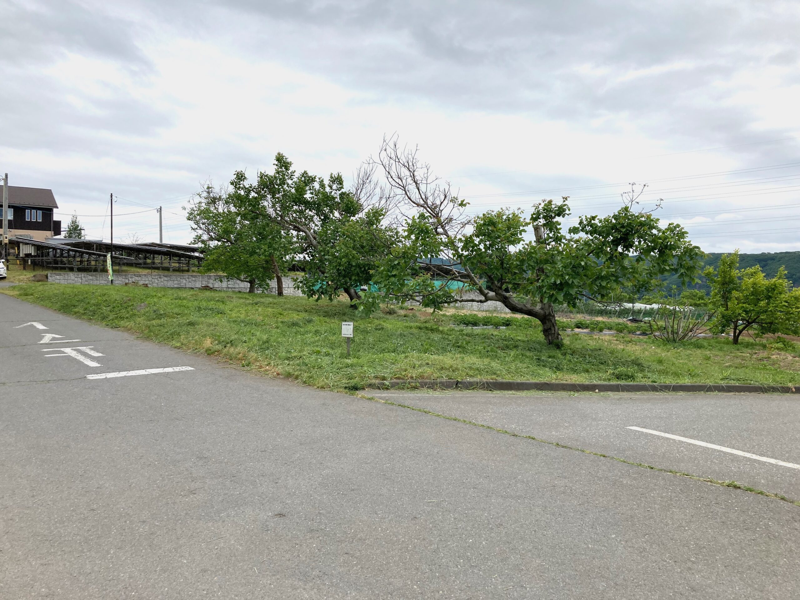 【長野県東御市滋野】土地（農地・田畑）あげます！譲ります！