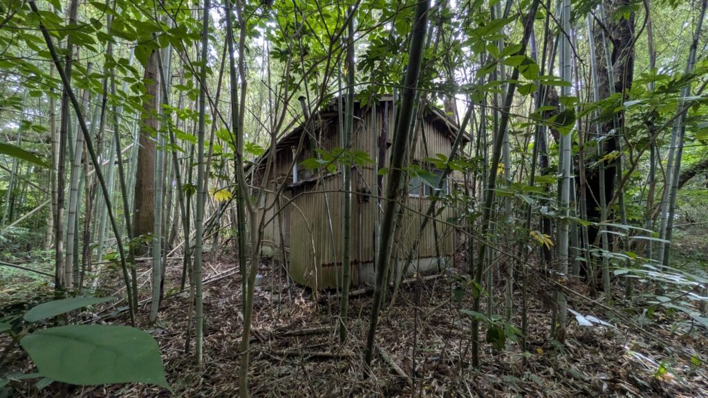 【千葉県いすみ市岬町】2か所に分かれた山林6筆あげます！1か所は古い家屋付きです。０円物件！