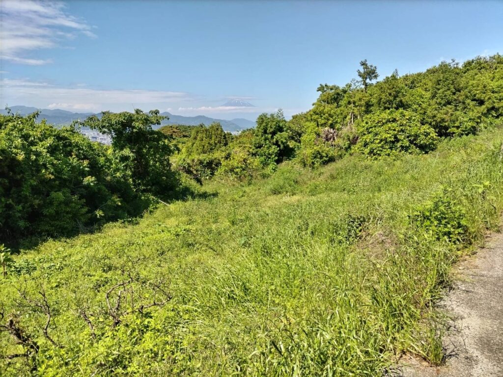 （譲渡先決定）【静岡県静岡市清水区】元ミカン畑🍊農地7筆まとめてあげます！一部ミカンの木が植えられたままになっています。