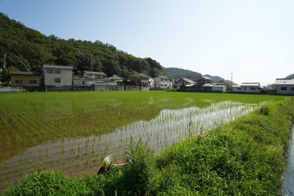 【兵庫県たつの市揖保川町原】土地（農地・田畑）あげます！譲ります！0円物件！無料！