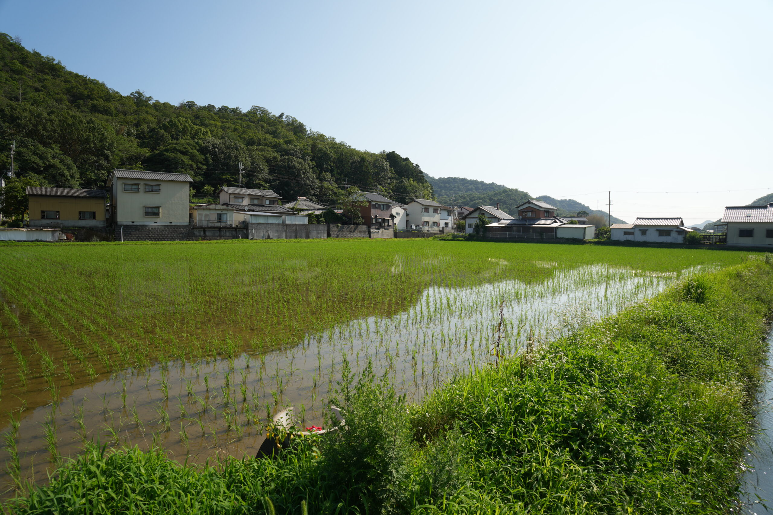 【兵庫県たつの市揖保川町原】土地（農地・田畑）あげます！譲ります！0円物件！無料！