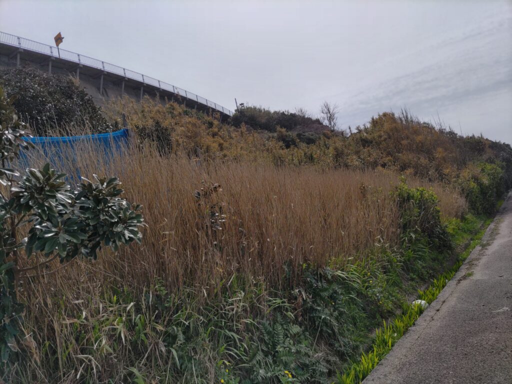 （お譲り先決定）【島根県出雲市多伎町】原野2筆あげます！
