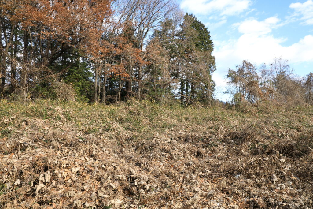 （お譲り先決定）【茨城県桜川市上野原地新田】遊休地状態の分譲地2筆あげます！（地目は山林）太陽光発電設備は付属せず、草木の茂った土地のみの募集です。
