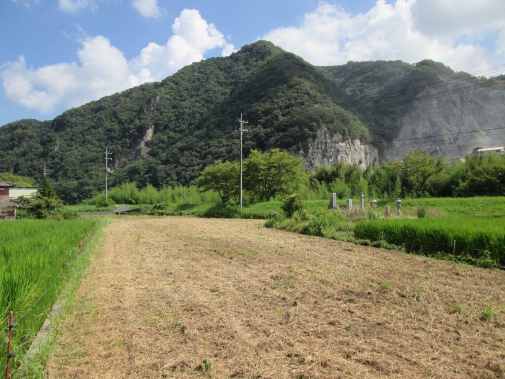 （お譲り先決定）【岡山県岡山市北区】農地3筆・墓地1筆あげます！