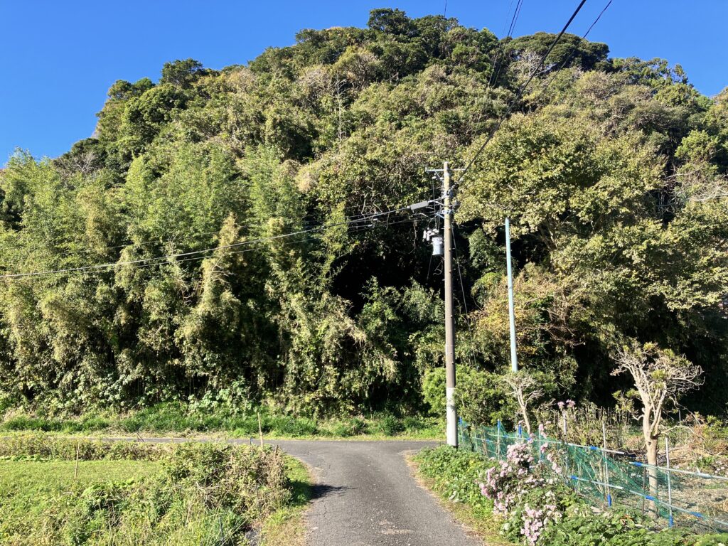 （お譲り先決定）【千葉県いすみ市岩船】土地（先祖から相続した山林・原野）あげます！譲ります！