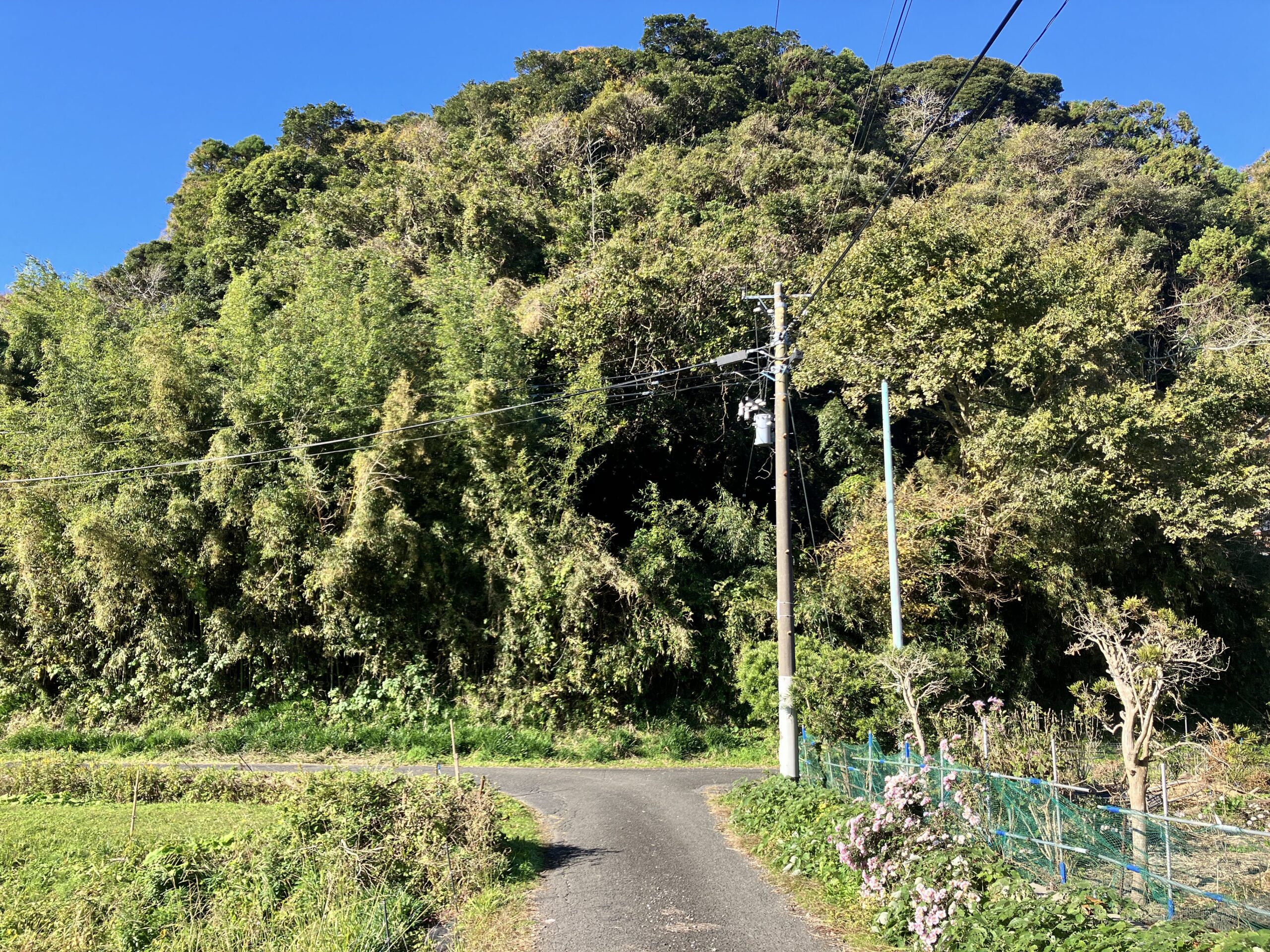 （お譲り先決定）【千葉県いすみ市岩船】土地（先祖から相続した山林・原野）あげます！譲ります！