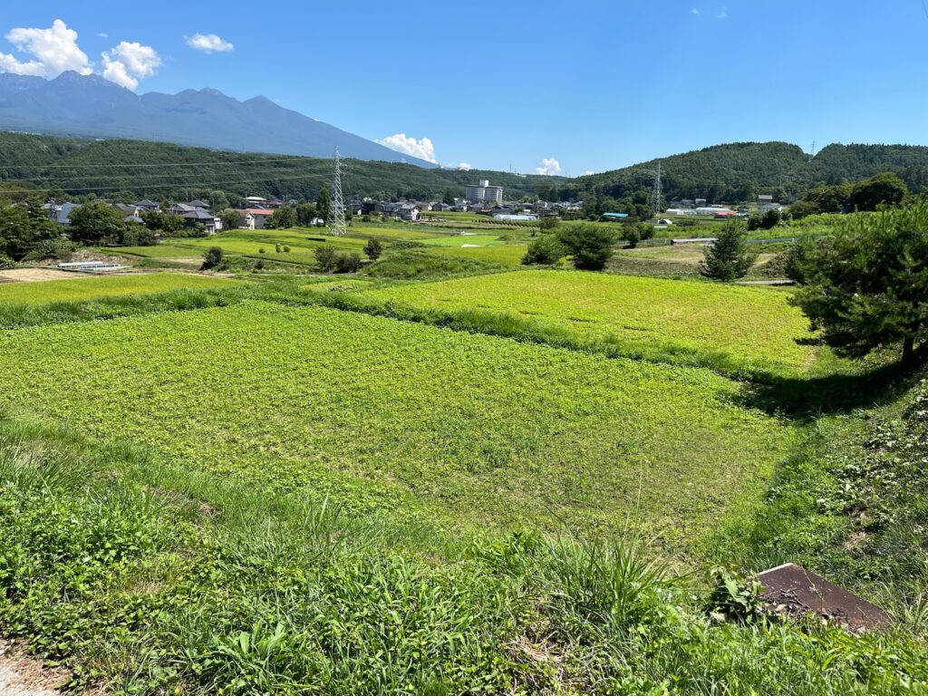 （お譲り先決定）【長野県茅野市金沢】農地（田・畑）7筆あげます！