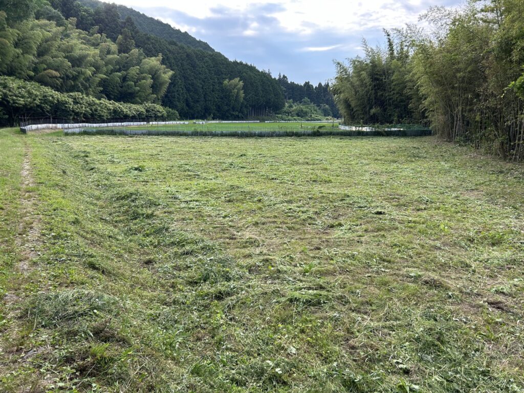 （お譲り先決定）【兵庫県丹波篠山市小枕】農地（田）1筆あげます！