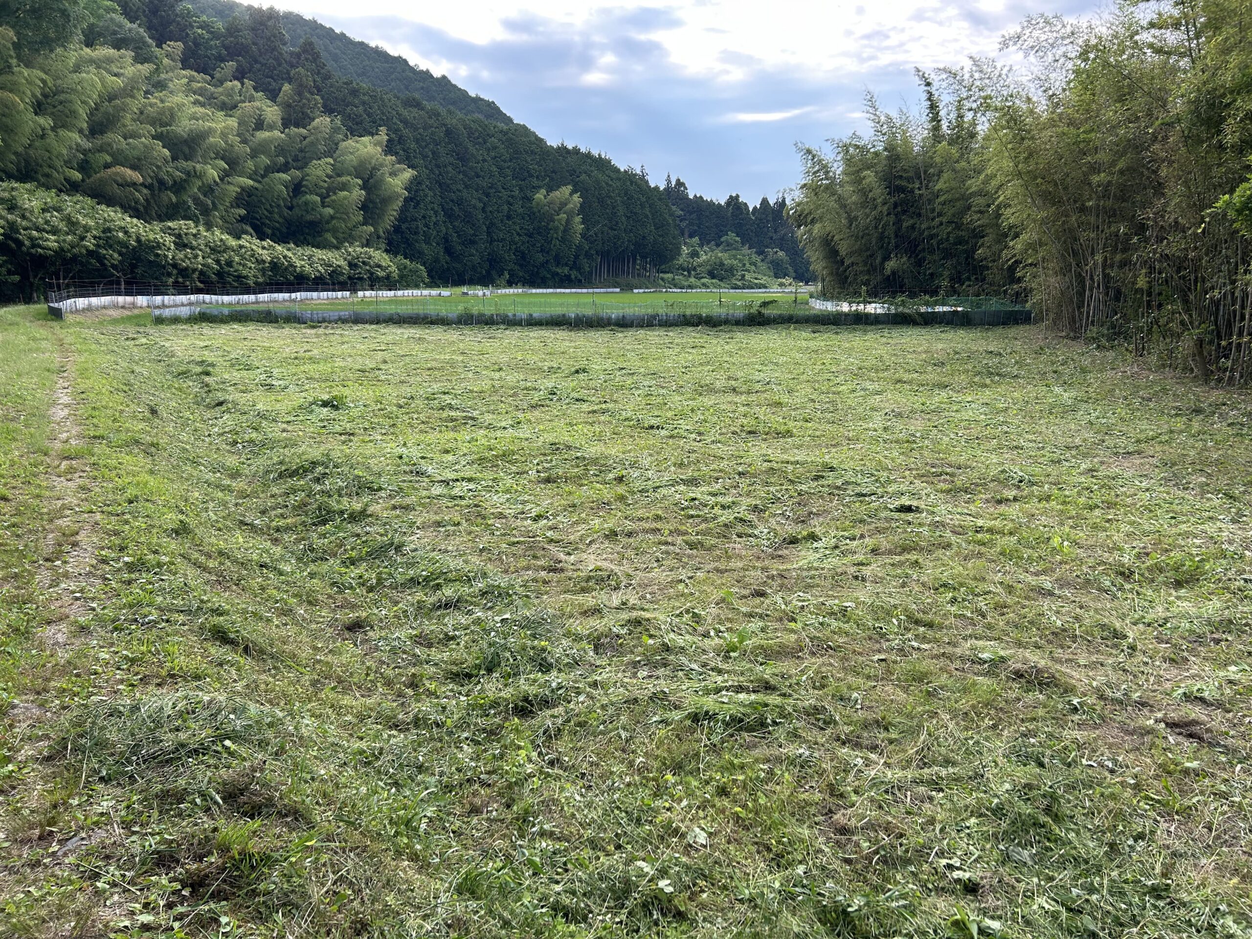 （お譲り先決定）【兵庫県丹波篠山市小枕】農地（田）1筆あげます！