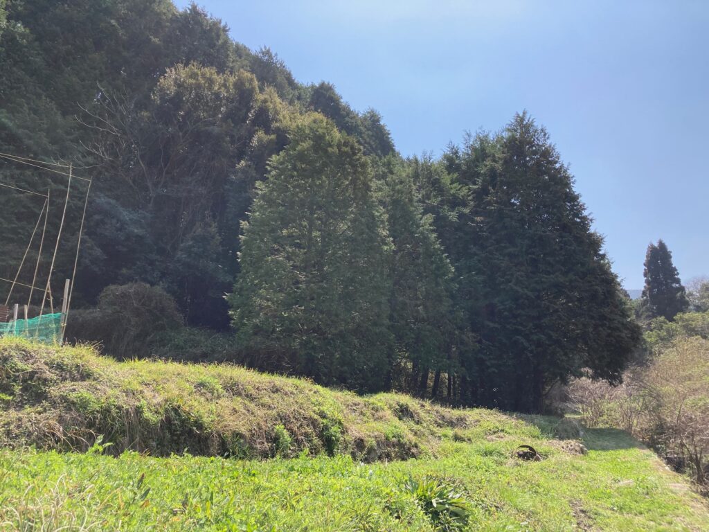 №I934-1【山口県柳井市伊保庄】土地（先祖から相続した山林・原野）あげます！譲ります！0円物件！無料！