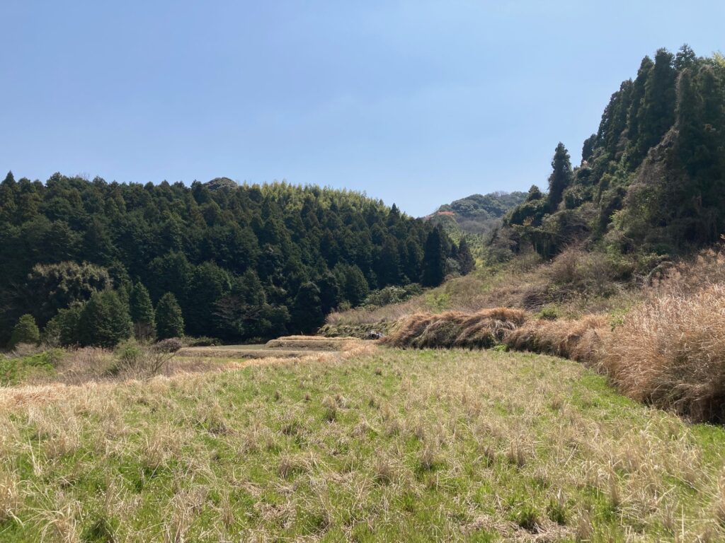 №I934-3【山口県柳井市伊保庄】土地（農地・田畑）あげます！譲ります！0円物件！無料！