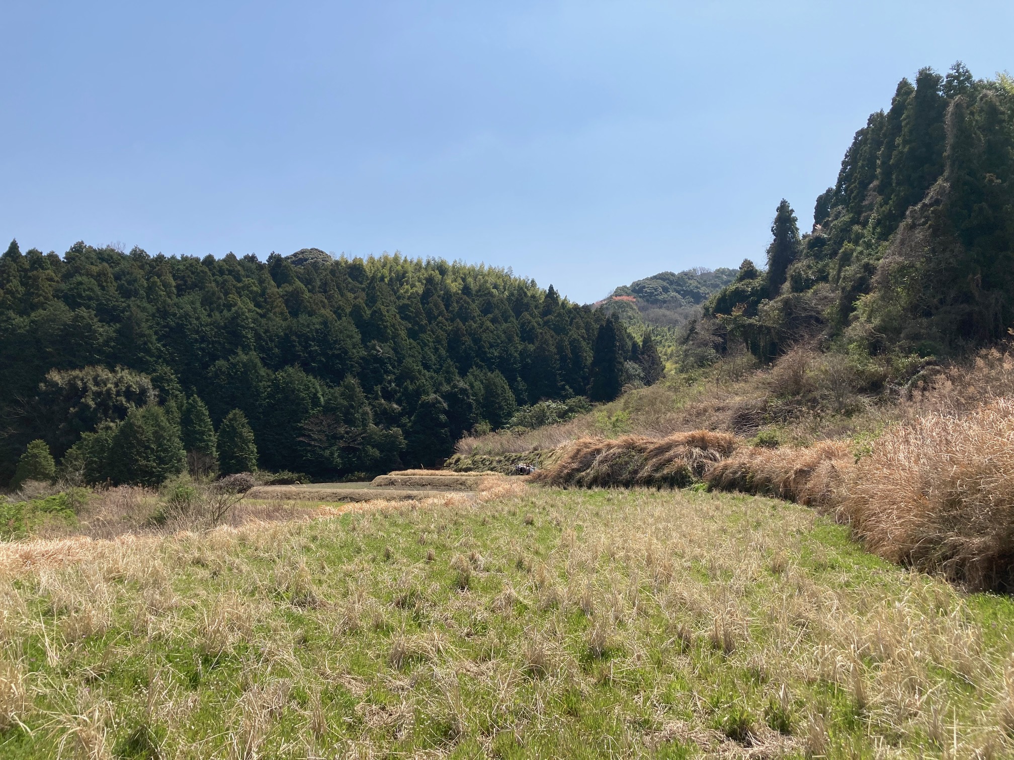 【山口県柳井市伊保庄】土地（農地・田畑）あげます！譲ります！