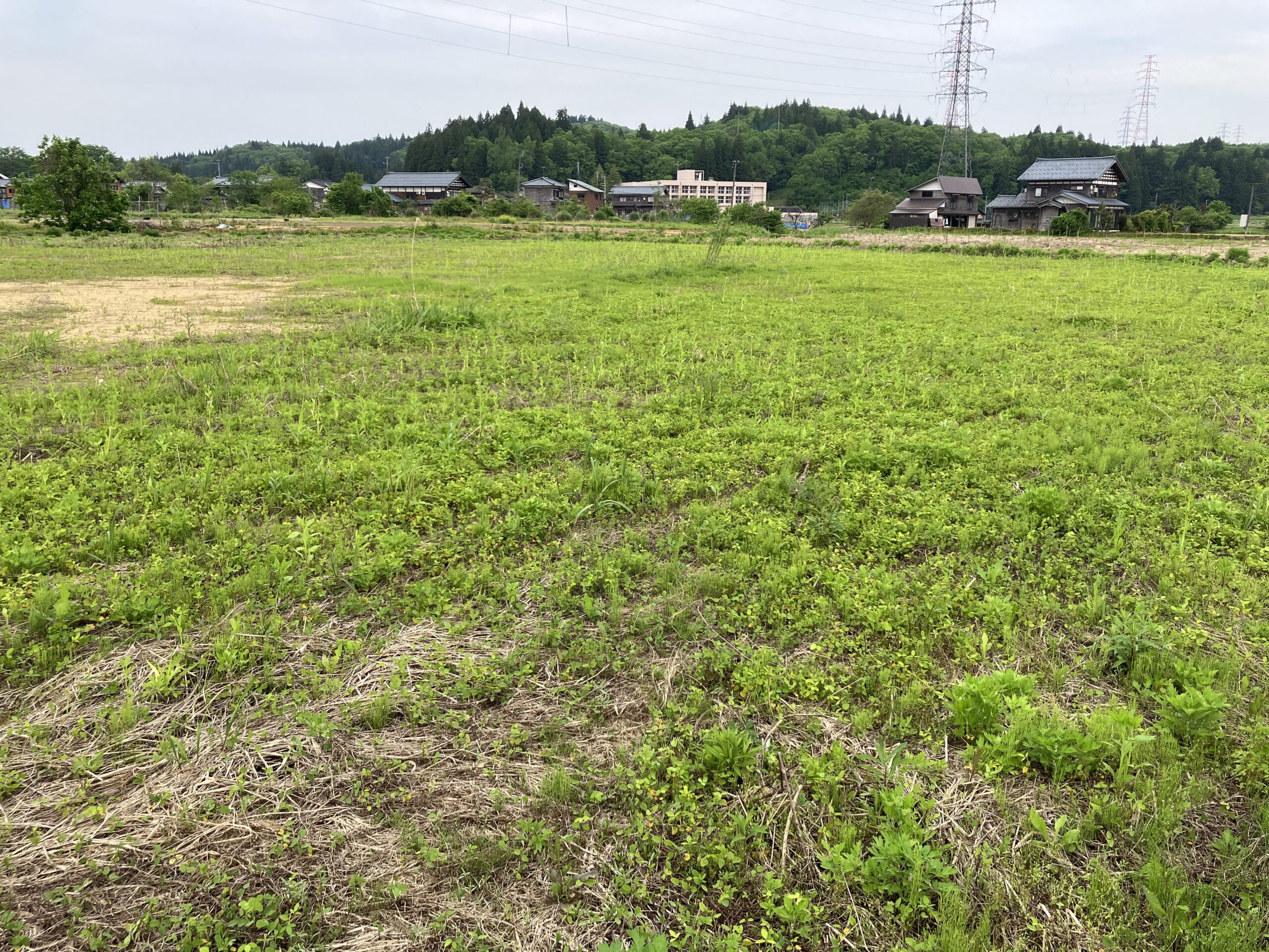 【新潟県見附市河野町・池之島町・太田町・神保町】農地17筆あげます！