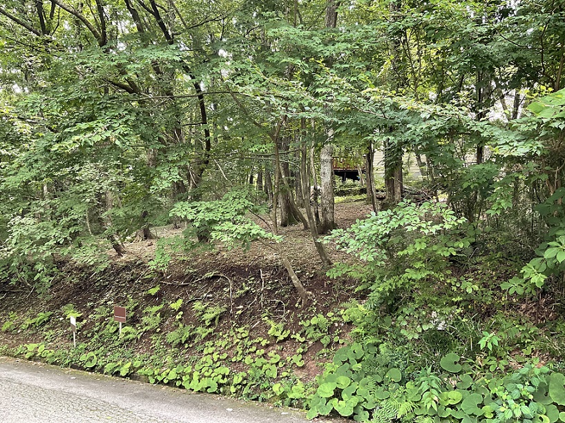 （お譲り先決定）【栃木県那須郡那須町】山林（別荘地）あげます！周囲には永住家屋や別荘用のコテージあり。年1回草刈りをしてもらっています。