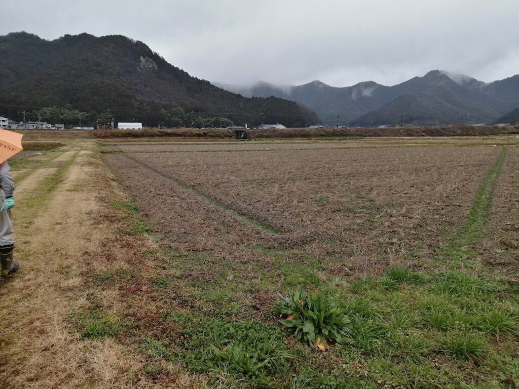 （お譲り先決定）【兵庫県丹波市柏原町】農業用倉庫あり！農地５筆まとめてあげます。