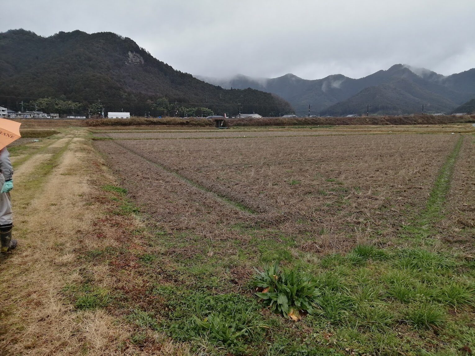 （お譲り先決定）【兵庫県丹波市柏原町】農業用倉庫あり！農地５筆まとめてあげます。