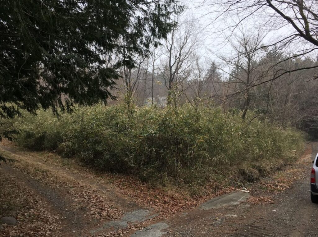 （お譲り先決定）【群馬県桐生市新里町赤城山】山林（別荘地）あげます！周囲には永住家屋あり。道路に接する２方向は境界ありそうです。０円でお譲りします。