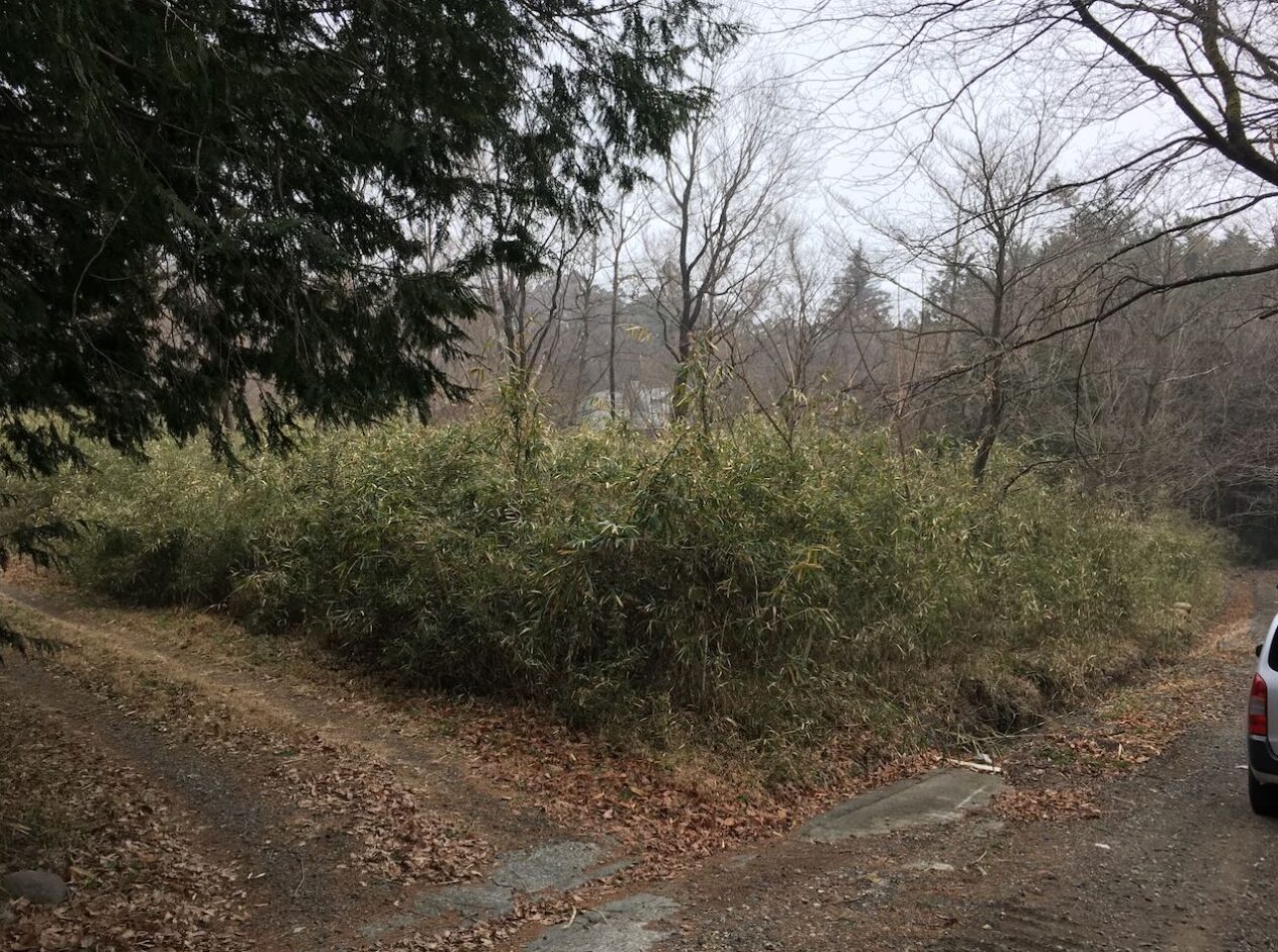 （お譲り先決定）【群馬県桐生市新里町赤城山】山林（別荘地）あげます！周囲には永住家屋あり。道路に接する２方向は境界ありそうです。０円でお譲りします。