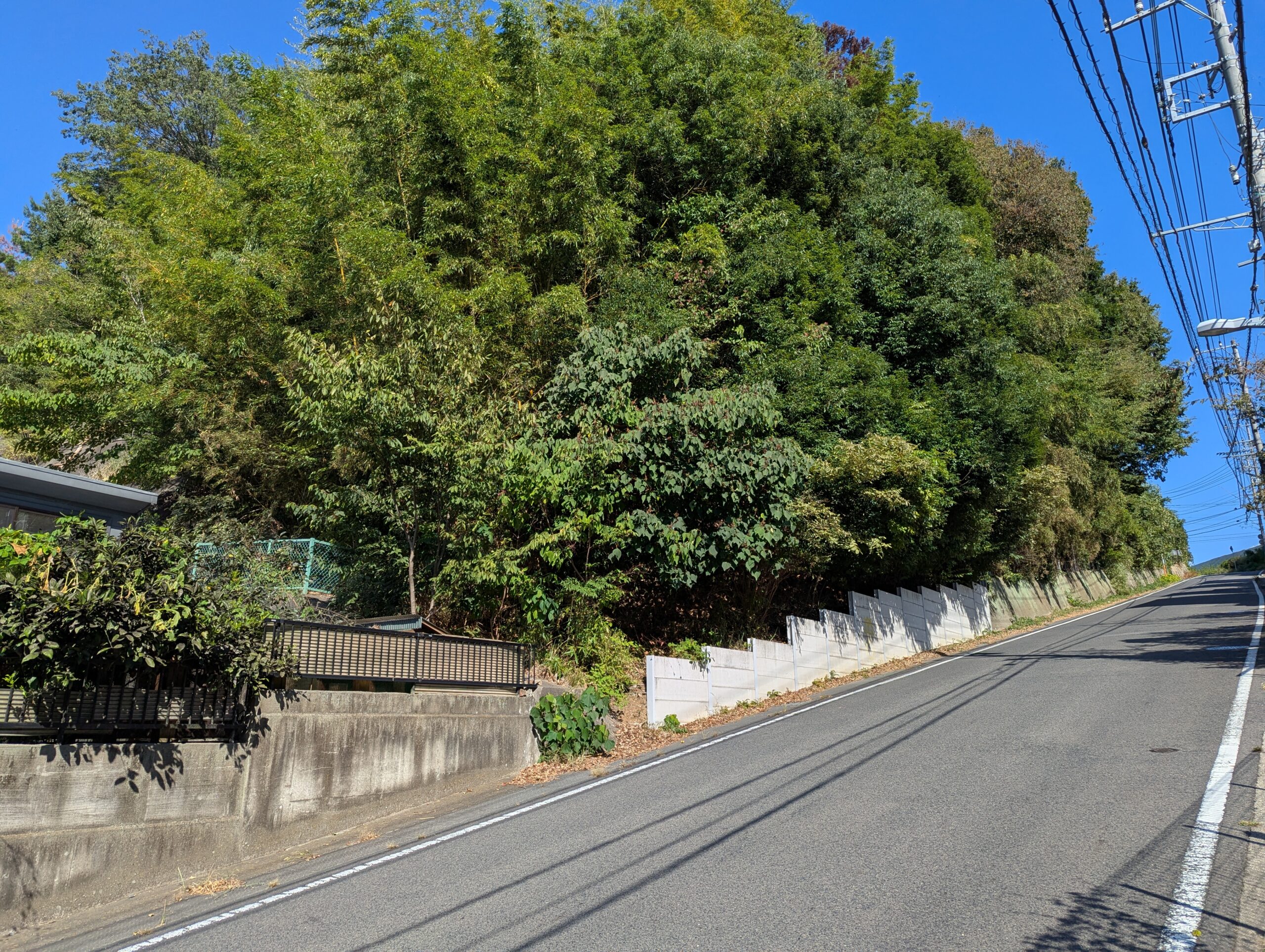 【茨城県日立市石名坂町】土地（先祖から相続した山林・原野）あげます！譲ります！