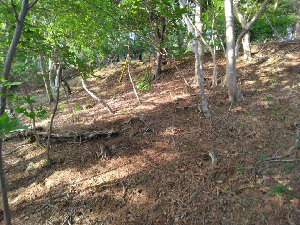 （お譲り先決定）【静岡県河津町川津筏場】別荘地（山林）1筆あげます！