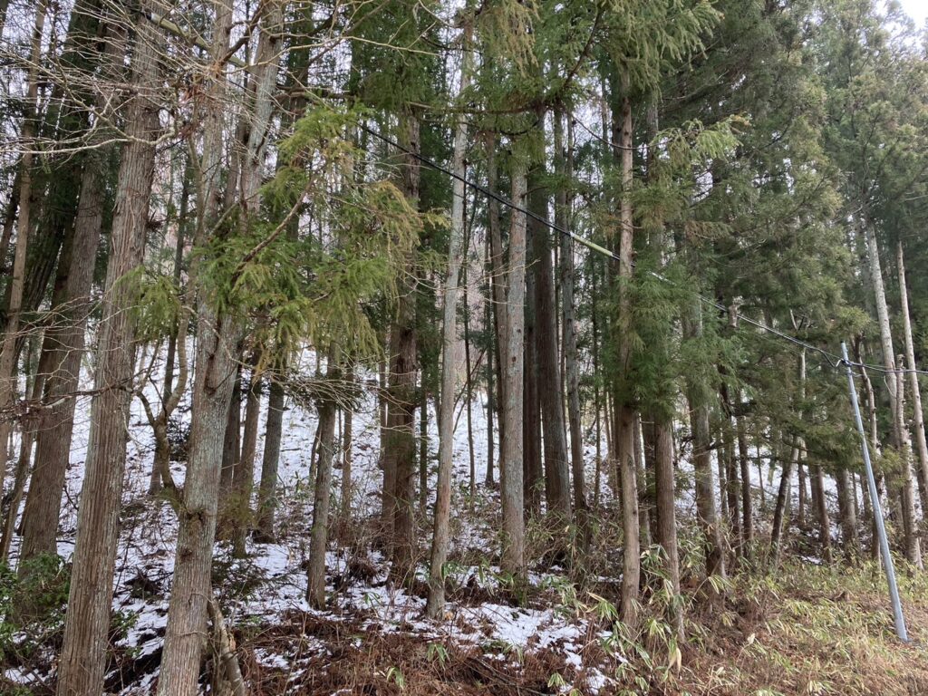 （お譲り先決定）【福島県田村市】山林あげます！原野とあわせ合計35,000㎡以上の広さです