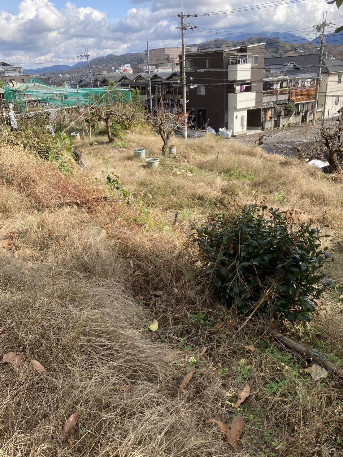 (お譲り先決定）【大阪府河内長野市寿町】宅地1筆＋農地（田）3筆あげます！思い入れのある土地あげます。大切に使っていただける方に巡り合えるとうれしいです。