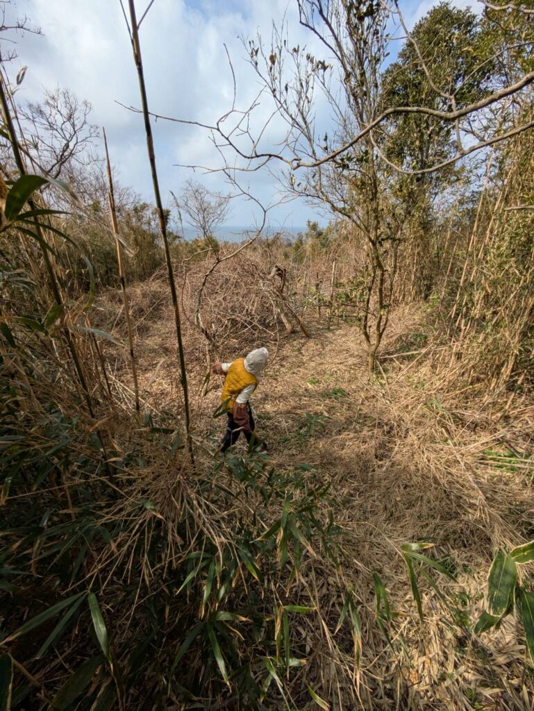 （お譲り先決定）【石川県輪島市門前町】小粒に点在する山林15筆あげます！一部場所不明の土地があります。