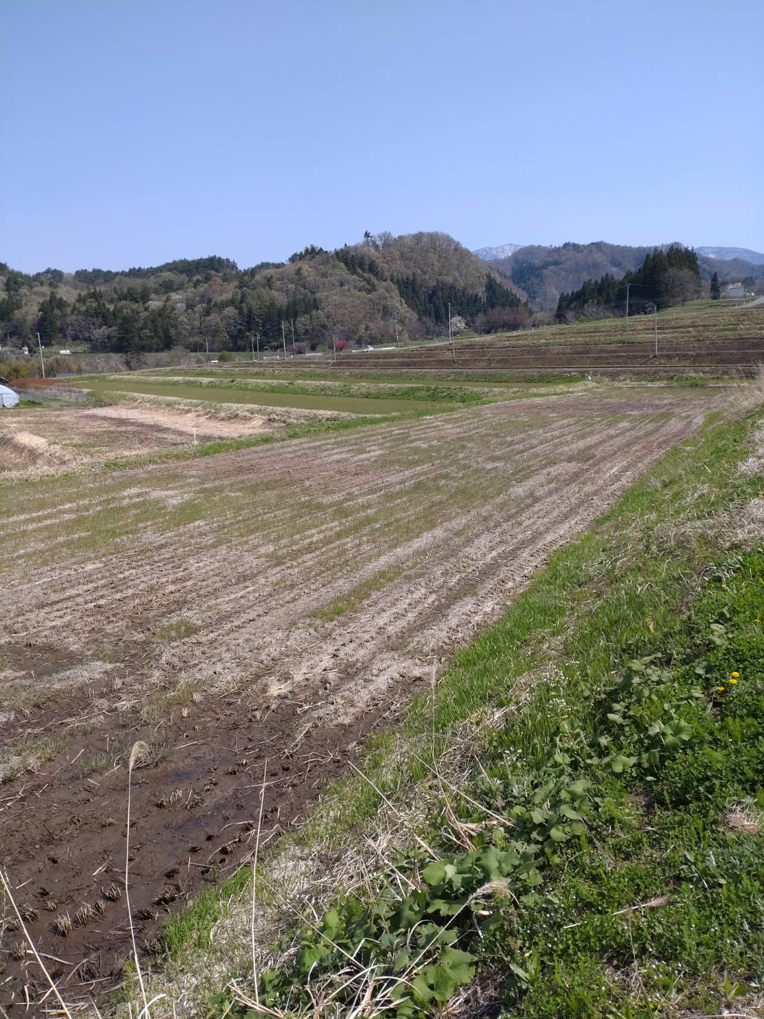 【福島県喜多方市熊倉町、北塩原村】田11筆あげます！