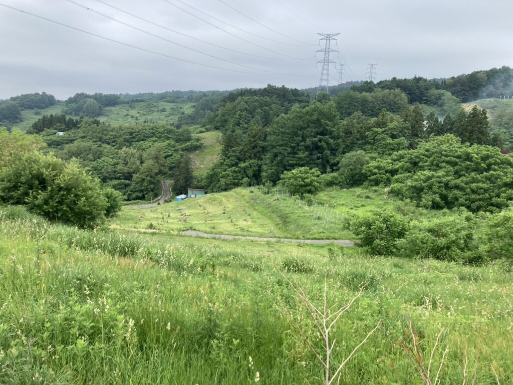 №B629【青森県黒石市石名坂】畑・山林17筆あげます！０円物件！